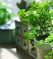 双鸭山专属于你的开运指南，助你鸿运当头福满身！